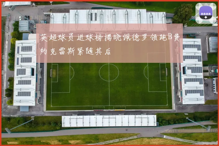 英超球员进球榜揭晓佩德罗领跑B费约克雷斯紧随其后
