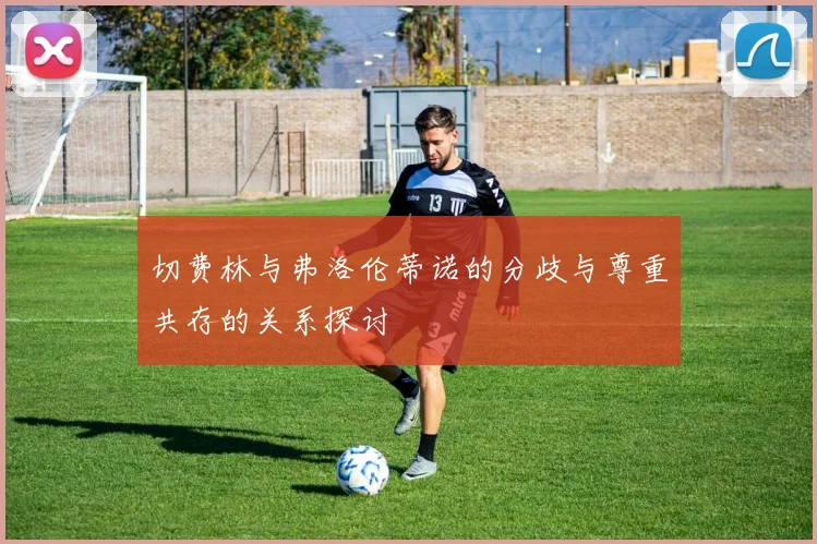 切费林与弗洛伦蒂诺的分歧与尊重共存的关系探讨